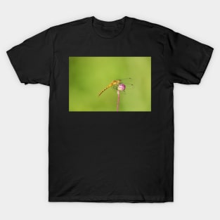 Grab Life By The Ball T-Shirt